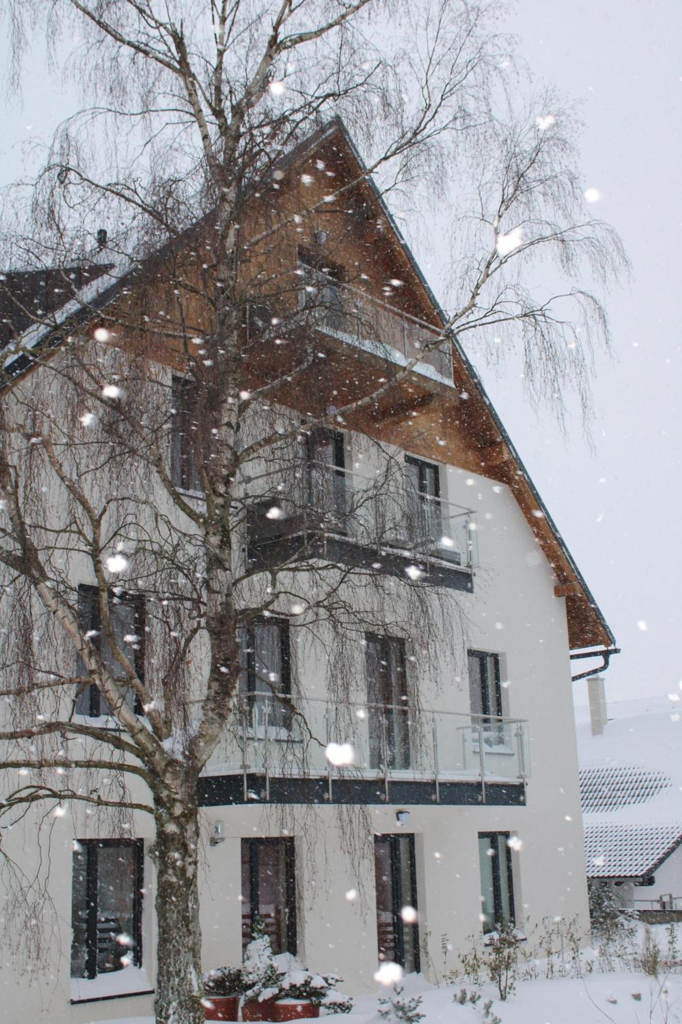 Ski Apartman Snowcat Abertamy Kültér fotó